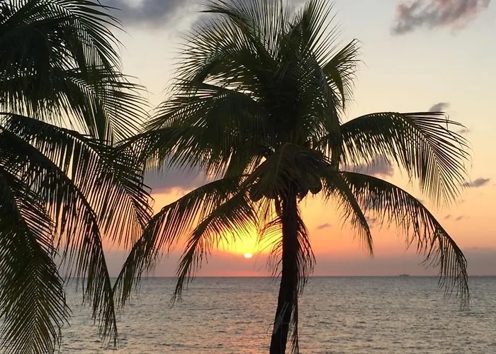 Condumel * Cozumel
